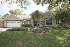 Spring Hill Florida realtors